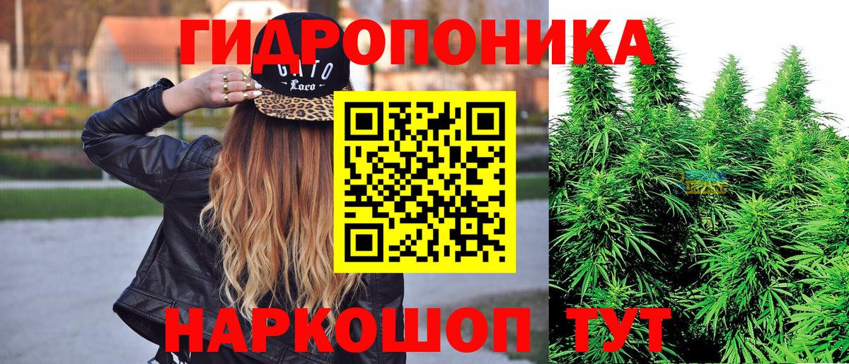 Канабис сатива  Канабис OG Kush  Сургут  Бошки Шишки тримм  Вход с VPN  Марихуана семена 